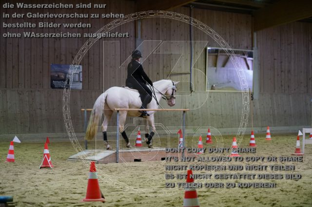 s_K3F07784.JPG